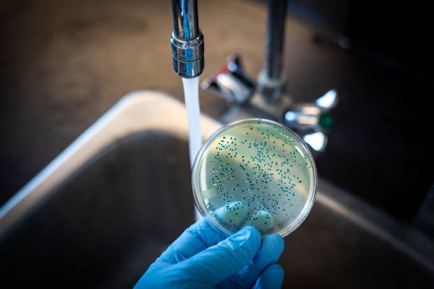 Understanding Water Contaminants: A Silent Peril